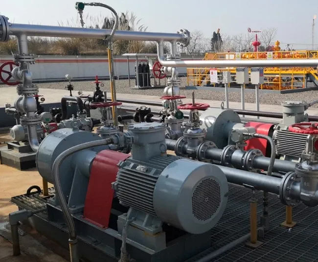 Multiple EHIK pump sets with red coupling guards and common pipework at Moxi in 2019.