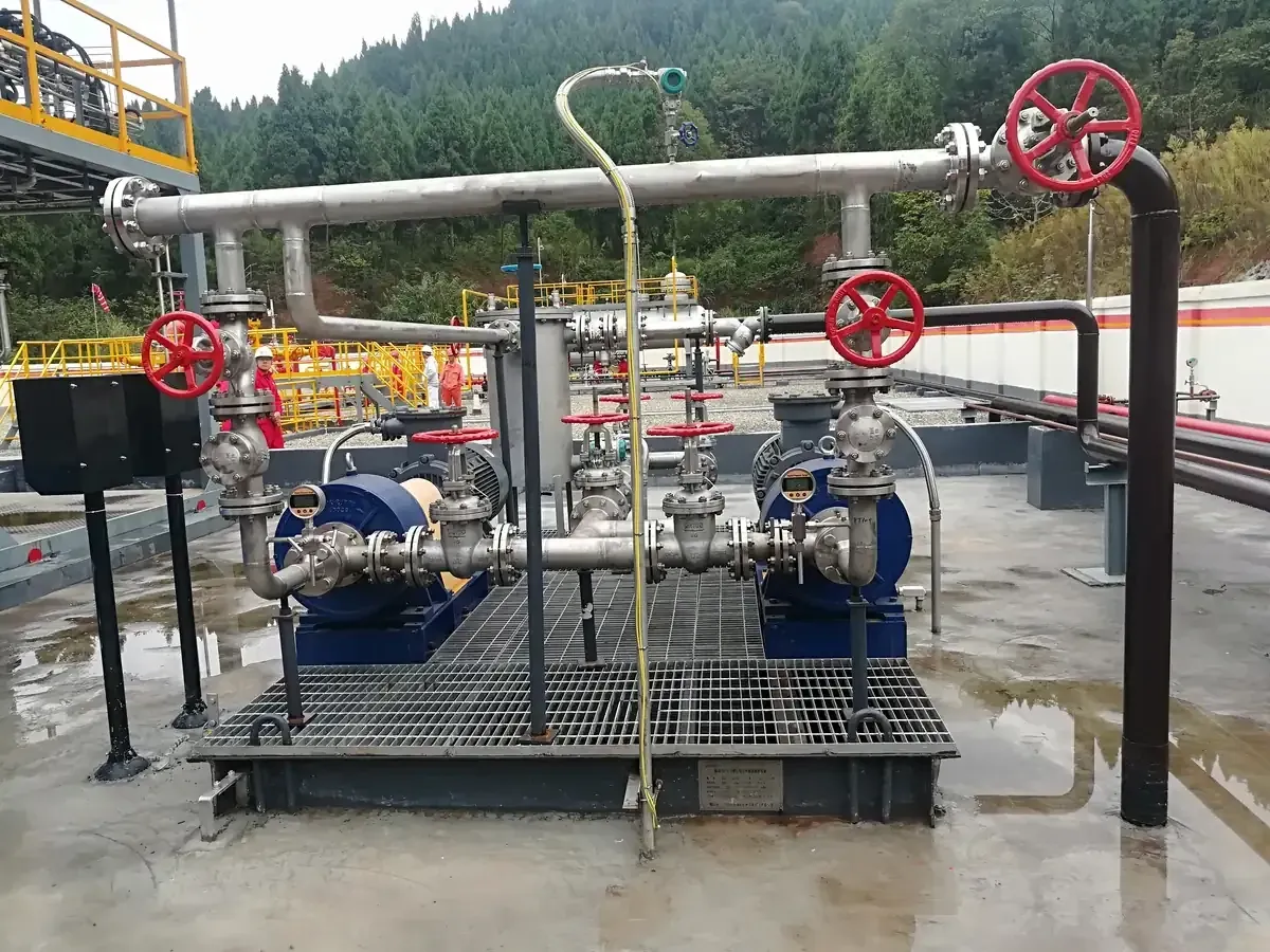 Two EHIK pumps on a common installation platform with connected field piping, valves and instruments.